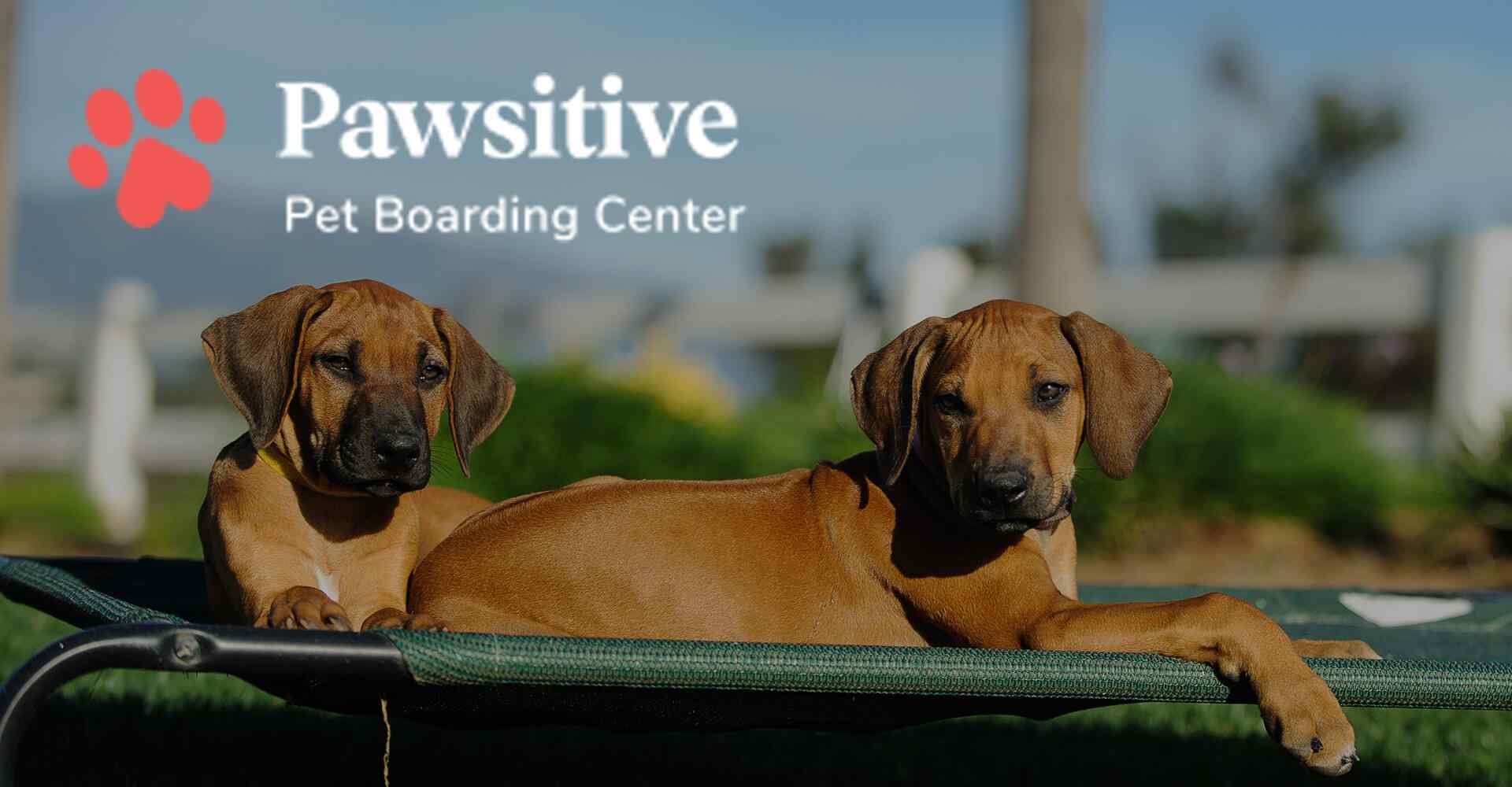 https://www.havenhomedogboarding.co.uk/wp/wp-content/uploads/2019/08/map_background.jpg