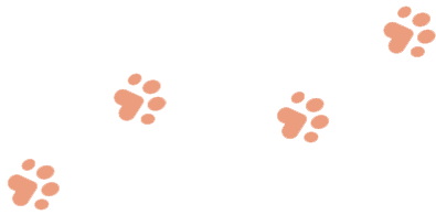 https://www.havenhomedogboarding.co.uk/wp/wp-content/uploads/2019/08/paws_3.png