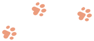 https://www.havenhomedogboarding.co.uk/wp/wp-content/uploads/2019/08/paws_4.png