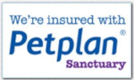 https://www.havenhomedogboarding.co.uk/wp/wp-content/uploads/2025/10/petplan-logo-sml.jpeg