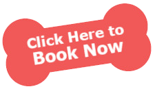 Booking Form
